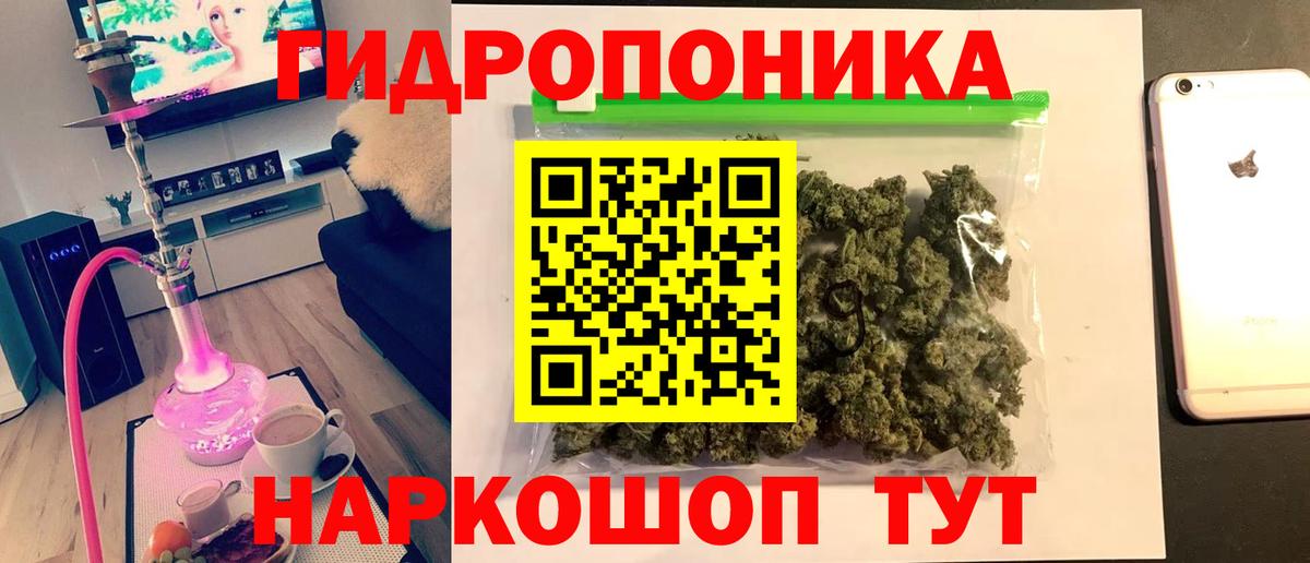 Черняховск  Бошки марихуана Ganja  Марихуана Ganja  Вход с VPN  Марихуана Bruce Banner  Конопля ГИДРОПОН 